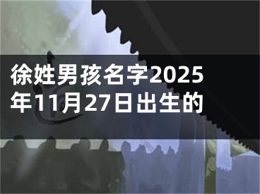 徐姓男孩名字2025年11月27日出生的