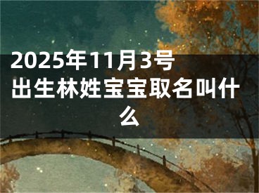 2025年11月3号出生林姓宝宝取名叫什么