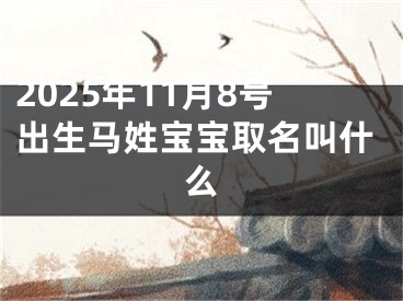 2025年11月8号出生马姓宝宝取名叫什么