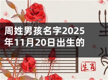 周姓男孩名字2025年11月20日出生的