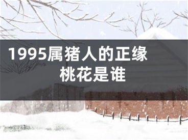 1995属猪人的正缘桃花是谁