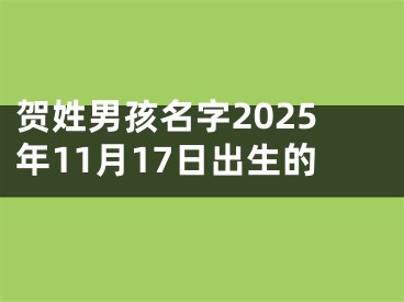 贺姓男孩名字2025年11月17日出生的