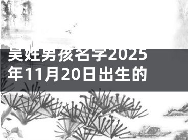 吴姓男孩名字2025年11月20日出生的