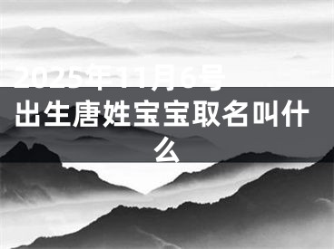 2025年11月6号出生唐姓宝宝取名叫什么