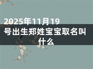 2025年11月19号出生郑姓宝宝取名叫什么