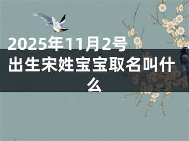 2025年11月2号出生宋姓宝宝取名叫什么