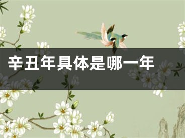 辛丑年具体是哪一年