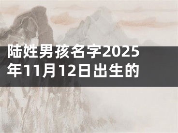 陆姓男孩名字2025年11月12日出生的