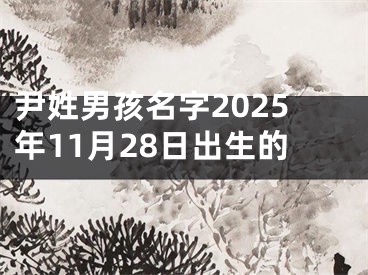 尹姓男孩名字2025年11月28日出生的