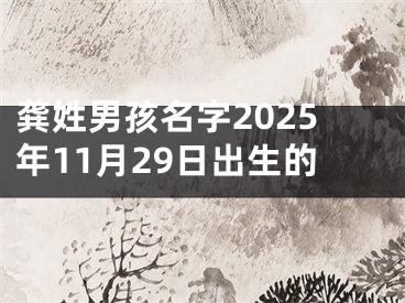 龚姓男孩名字2025年11月29日出生的