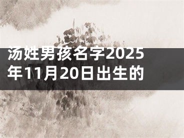 汤姓男孩名字2025年11月20日出生的