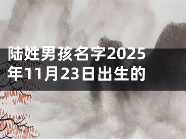 陆姓男孩名字2025年11月23日出生的