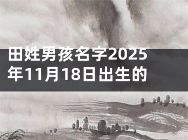 田姓男孩名字2025年11月18日出生的