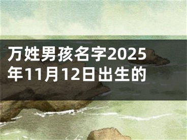 万姓男孩名字2025年11月12日出生的