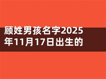 顾姓男孩名字2025年11月17日出生的