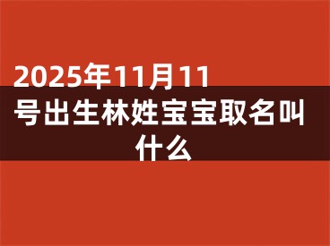 2025年11月11号出生林姓宝宝取名叫什么
