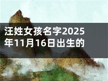 汪姓女孩名字2025年11月16日出生的