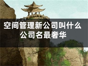 空间管理新公司叫什么公司名最奢华