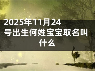 2025年11月24号出生何姓宝宝取名叫什么