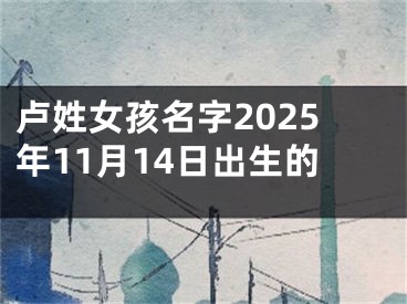 卢姓女孩名字2025年11月14日出生的