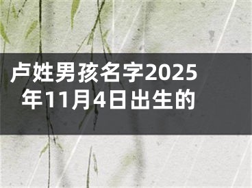 卢姓男孩名字2025年11月4日出生的