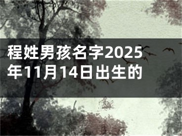 程姓男孩名字2025年11月14日出生的