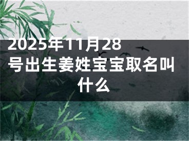 2025年11月28号出生姜姓宝宝取名叫什么