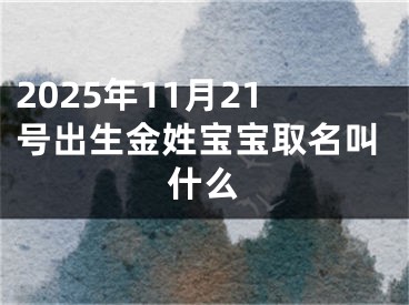 2025年11月21号出生金姓宝宝取名叫什么