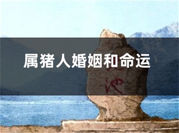 属猪人婚姻和命运