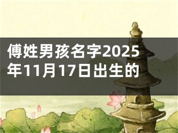 傅姓男孩名字2025年11月17日出生的