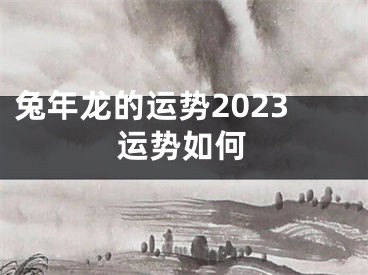 兔年龙的运势2023运势如何