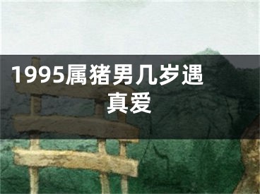 1995属猪男几岁遇真爱