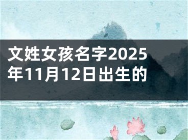 文姓女孩名字2025年11月12日出生的