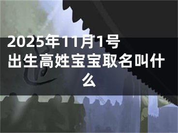 2025年11月1号出生高姓宝宝取名叫什么