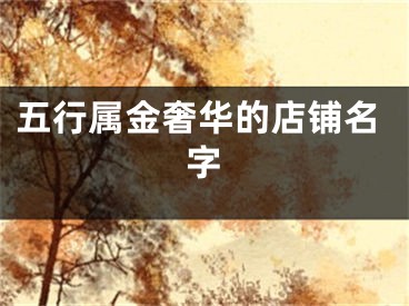 五行属金奢华的店铺名字