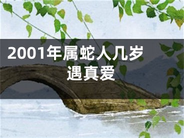 2001年属蛇人几岁遇真爱