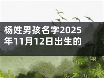 杨姓男孩名字2025年11月12日出生的