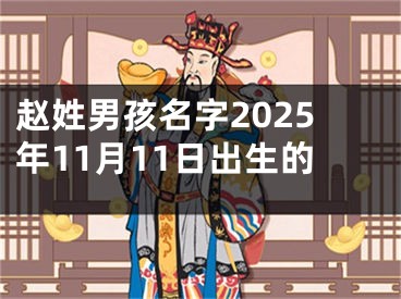赵姓男孩名字2025年11月11日出生的