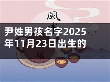 尹姓男孩名字2025年11月23日出生的