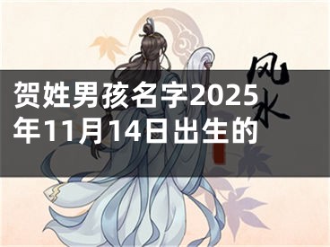 贺姓男孩名字2025年11月14日出生的