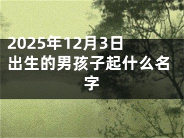 2025年12月3日出生的男孩子起什么名字