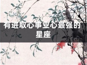 有进取心事业心最强的星座