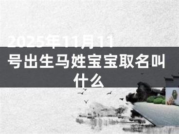 2025年11月11号出生马姓宝宝取名叫什么