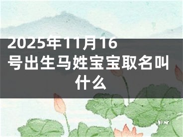 2025年11月16号出生马姓宝宝取名叫什么