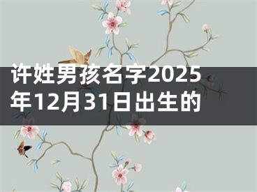 许姓男孩名字2025年12月31日出生的
