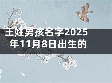 王姓男孩名字2025年11月8日出生的