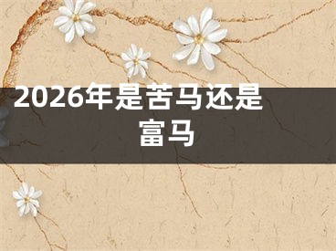 2026年是苦马还是富马