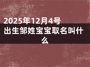 2025年12月4号出生邹姓宝宝取名叫什么