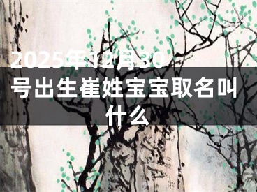 2025年12月30号出生崔姓宝宝取名叫什么