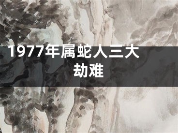 1977年属蛇人三大劫难